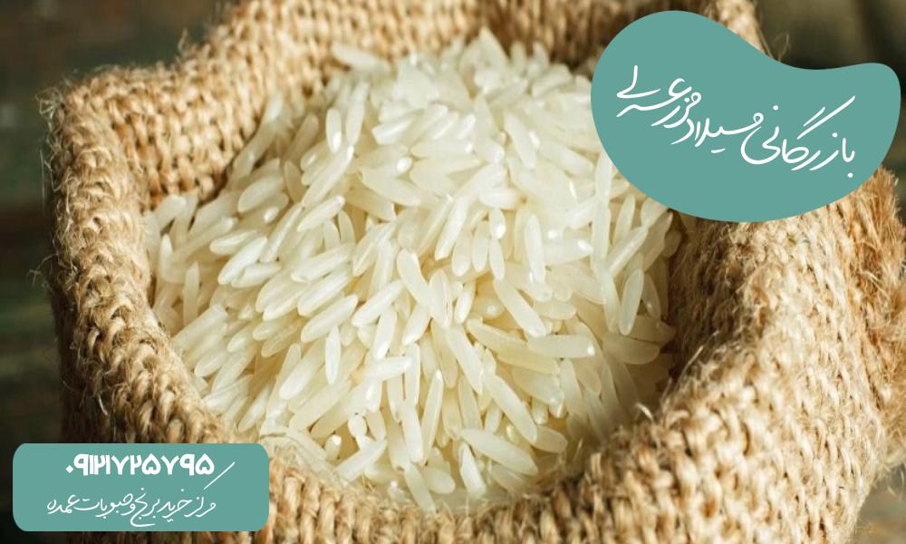 برنج باسماتی یا برنج ایرانی