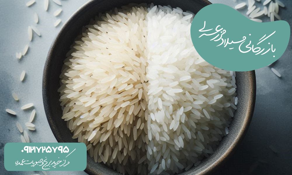 برنج هاشمی بخریم یا طارم؟