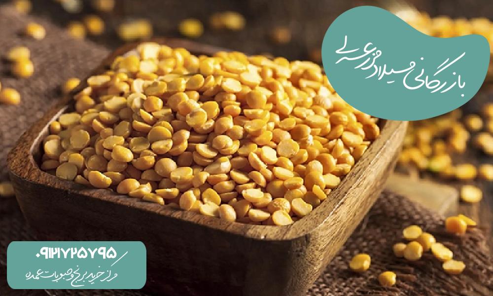 تفاوت لپه ایرانی و لپه اتیوپیایی