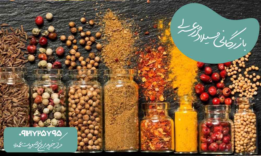 لپه ایرانی چیست