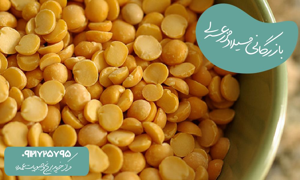 تفاوت لپه ایرانی و اتیوپیای