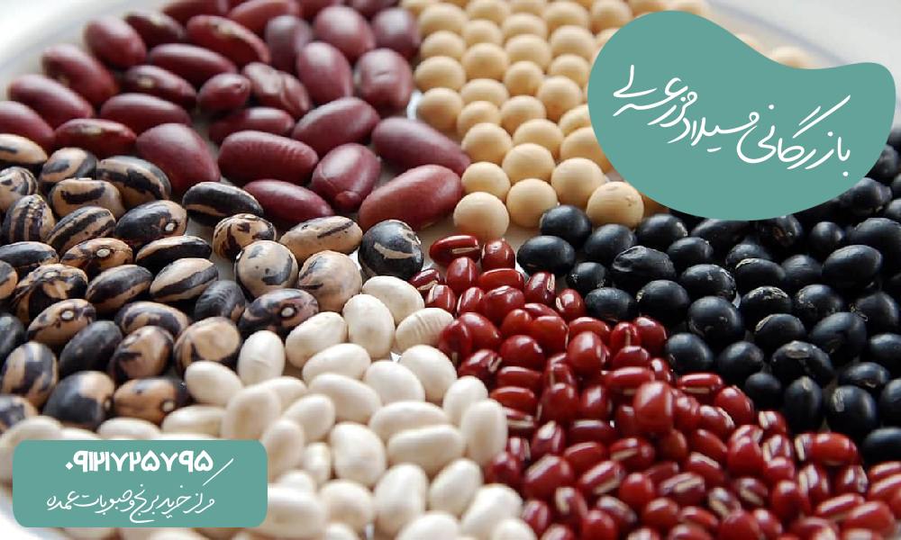 تاثیر حبوبات بر لاغری