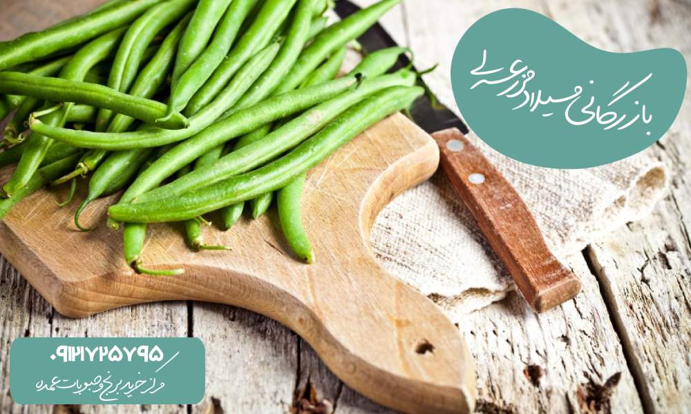 خواص لوبیا سبز