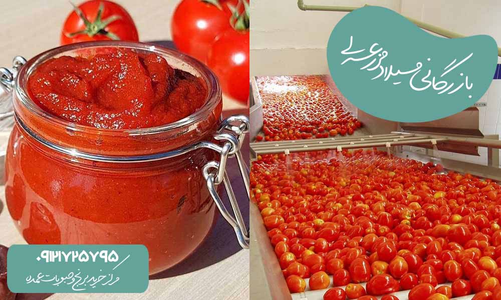رب خانگی یا کارخانه