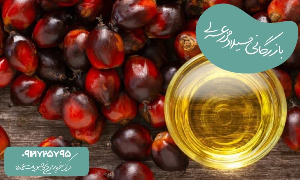 اهمیت روغن بدون پالم