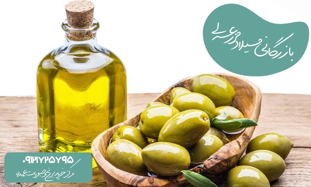 روغن زیتون