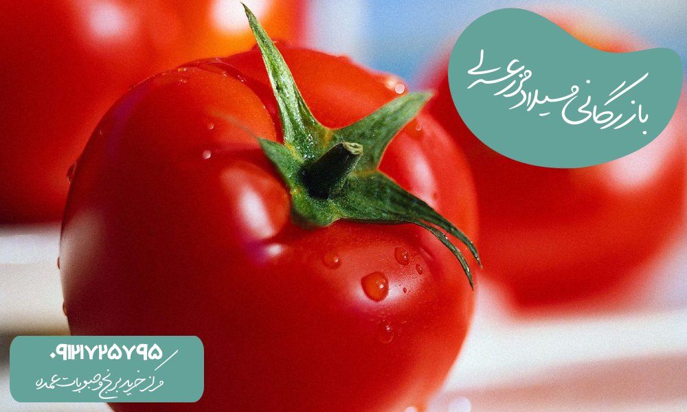 فواید رب گوجه فرنگی برای بدن