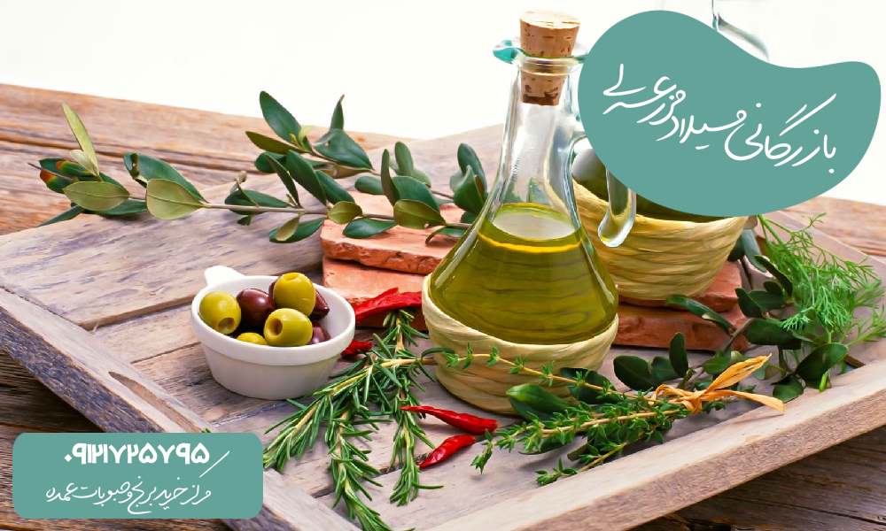 نحوه استفاده صحیح از روغن زیتون