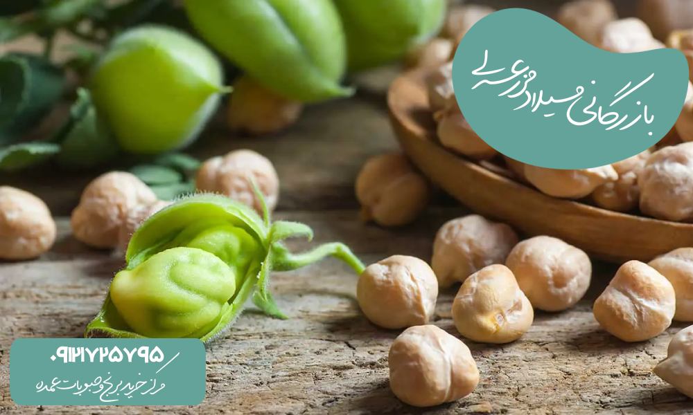 مقایسه نخود ایرانی و خارجی