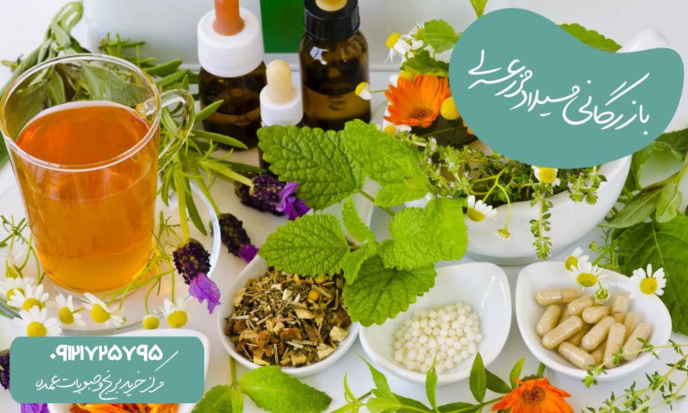 چای گیاهی فصل پاییز